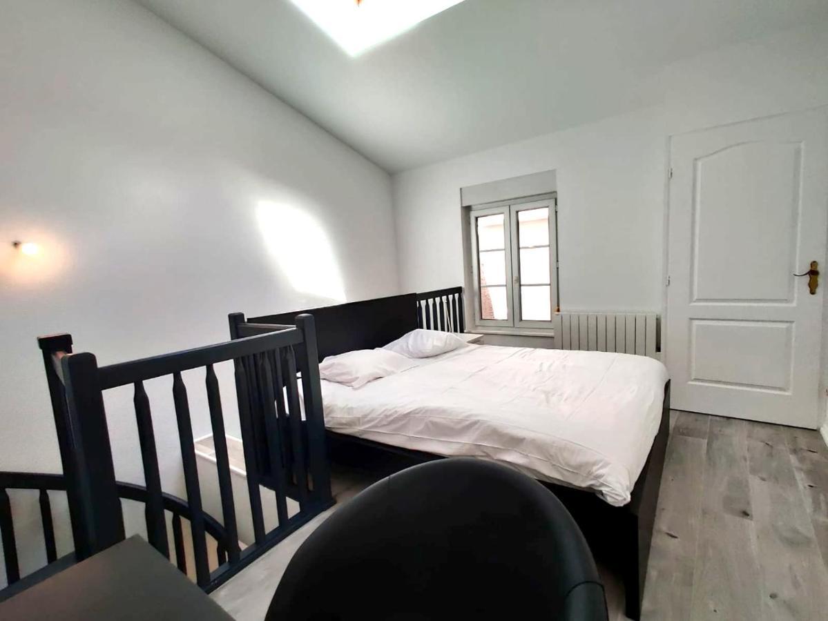 Nancy Hypercentre 34 Rue Des Dominicains ! Apartment Exterior foto